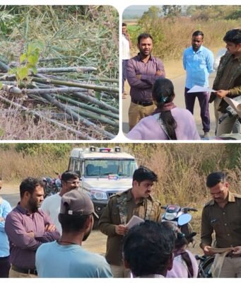 बीजेपानी में सरकारी खजाने पर डाका: 20 एकड़ में फैले ‘हरे सोने’ पर चला अवैध कुल्हाड़ा…