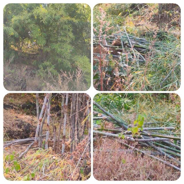 WhatsApp Image 2025-12-17 at 11.09.20 PM (1)