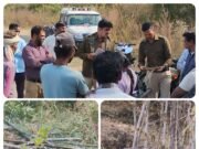 नियमों के आगे ‘नेताओं’ का तिलिस्म फेल: बीजेपानी में 20 एकड़ सरकारी भूमि पर बांस की अवैध कटाई पर प्रशासन का डंडा…