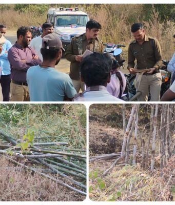 नियमों के आगे ‘नेताओं’ का तिलिस्म फेल: बीजेपानी में 20 एकड़ सरकारी भूमि पर बांस की अवैध कटाई पर प्रशासन का डंडा…